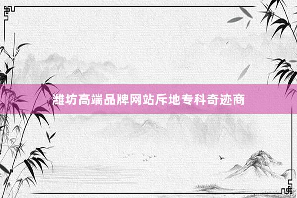 潍坊高端品牌网站斥地专科奇迹商