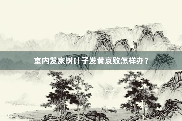 室内发家树叶子发黄衰败怎样办？