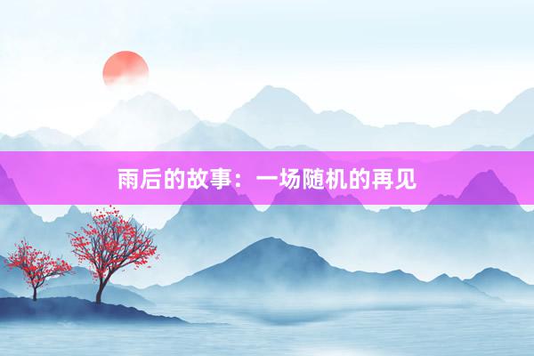 雨后的故事：一场随机的再见